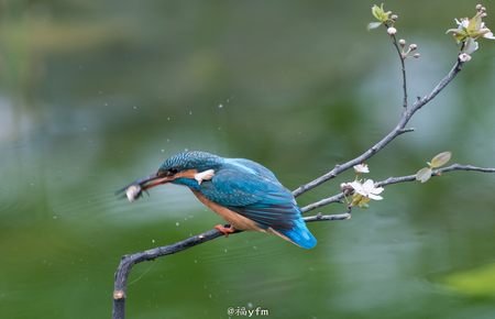 高浪荡小说