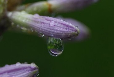 两个人的视频日本