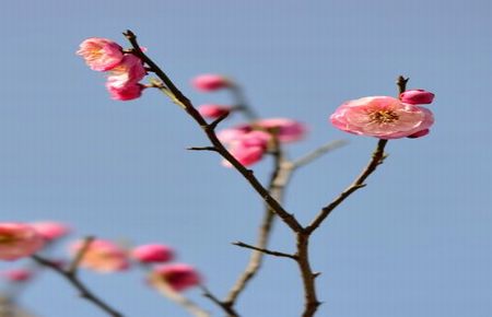 官场小说推荐