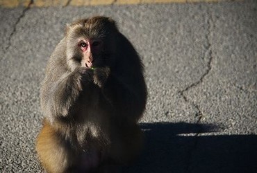 天堂bt最新版在线www