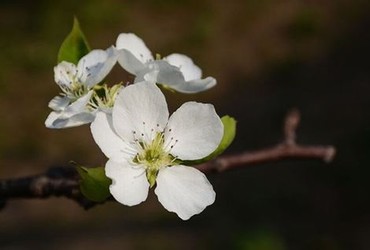 八戒私人影视