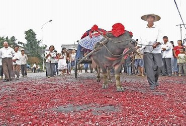 终极斗士4免费观看完整版高清