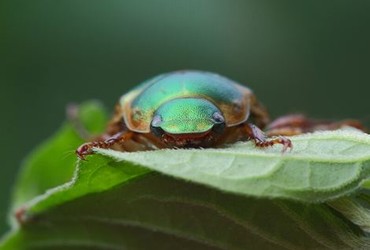 野花视频中文免费观看3