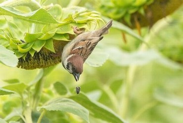 欲奴免费观看