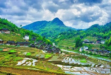 太阳之泪免费高清在线观看