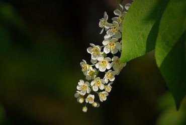 同班同学 电影