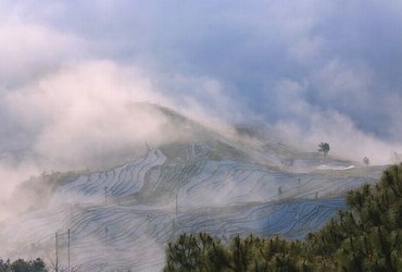 韩国三级片电影大全