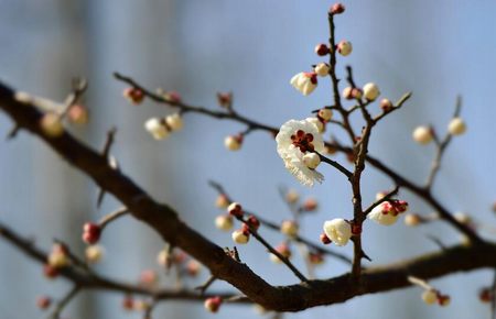 官场小说大全