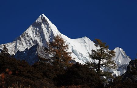 步非烟小说