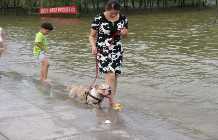 云念霍霆琛免费阅读