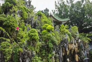 青柠视频在线观看完整版免费