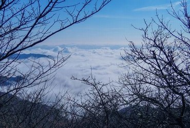 韩国电影real在线观看完整版