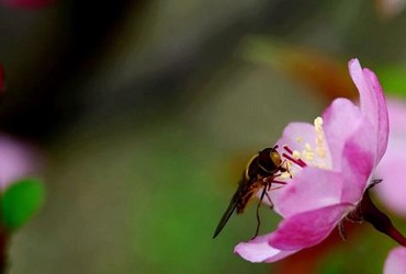 地球百子第四季