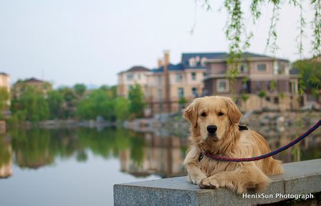 乱合集200篇阅读