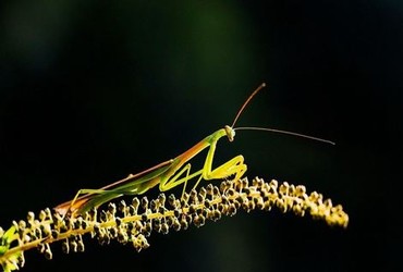 电视剧《悬崖》全集播放