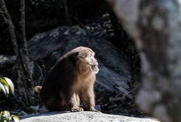 幸福宝首页