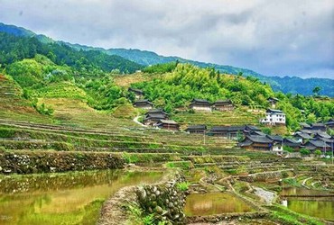 太阳之力泰剧在线观看