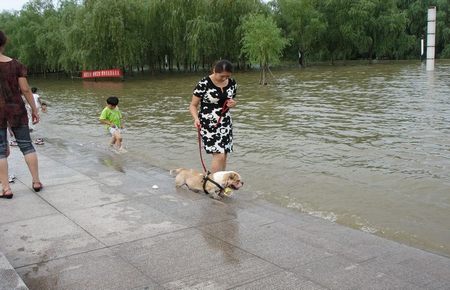 云海玉弓缘小说